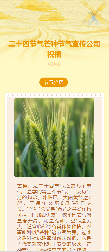 二十四节气芒种节气宣传公司祝福