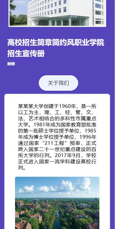 高校招生简章简约风职业学院招生宣传册