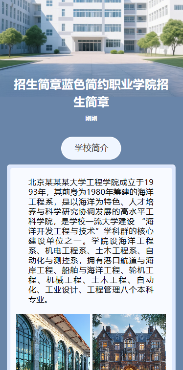 招生简章蓝色简约职业学院招生简章