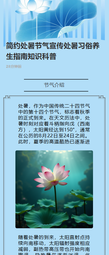 简约处暑节气宣传处暑习俗养生指南知识科普