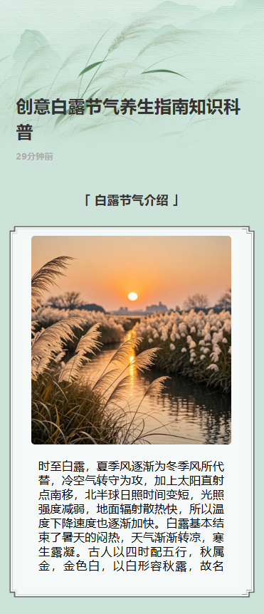 创意白露节气养生指南知识科普