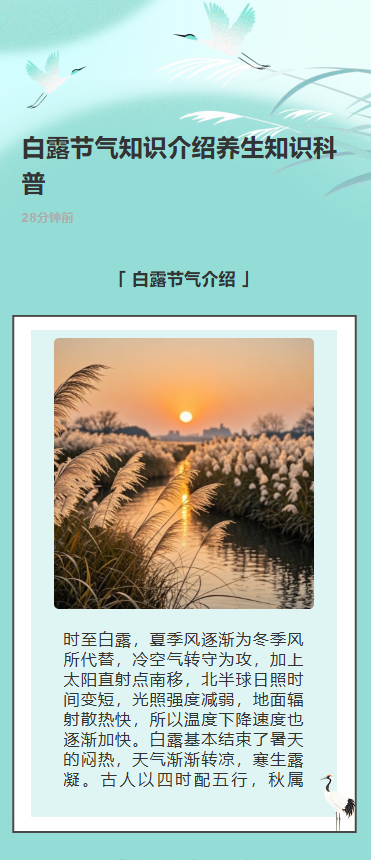 白露节气知识介绍养生知识科普