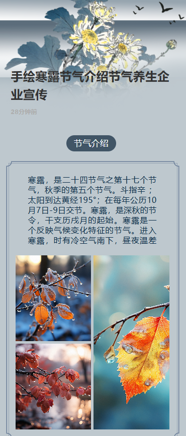 手绘寒露节气介绍节气养生企业宣传
