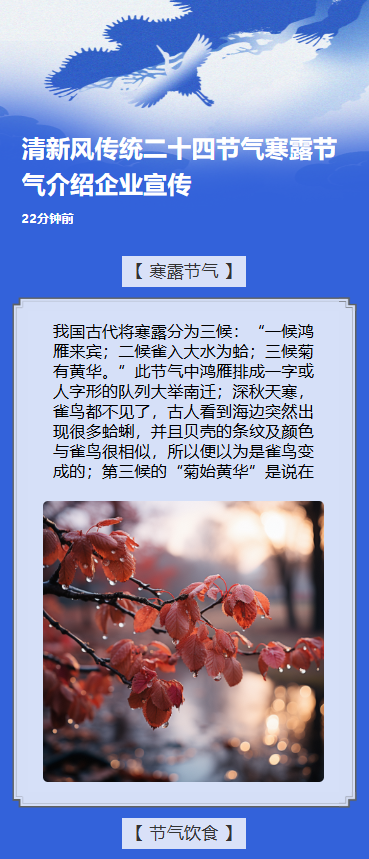 清新风传统二十四节气寒露节气介绍企业宣传