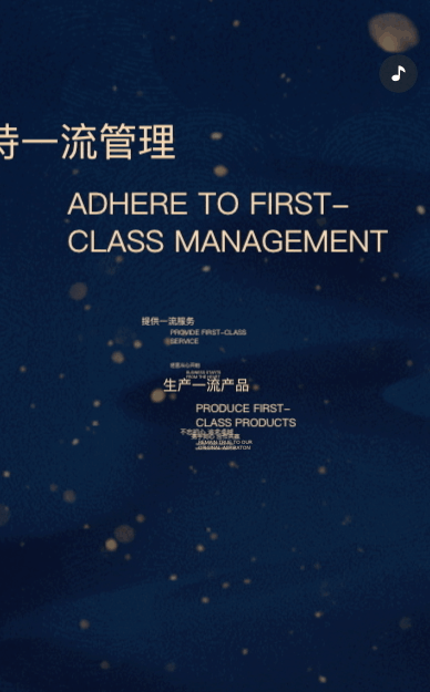 一镜到底高端商务蓝色鎏金企业宣传册