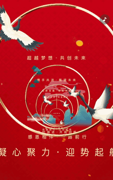 年度工作报告