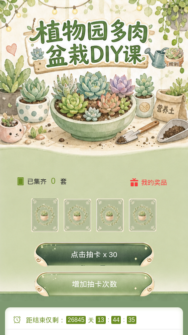 多肉盆栽