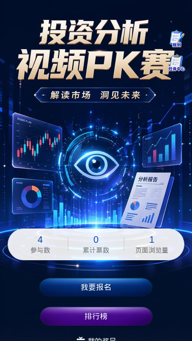 投资分析赛